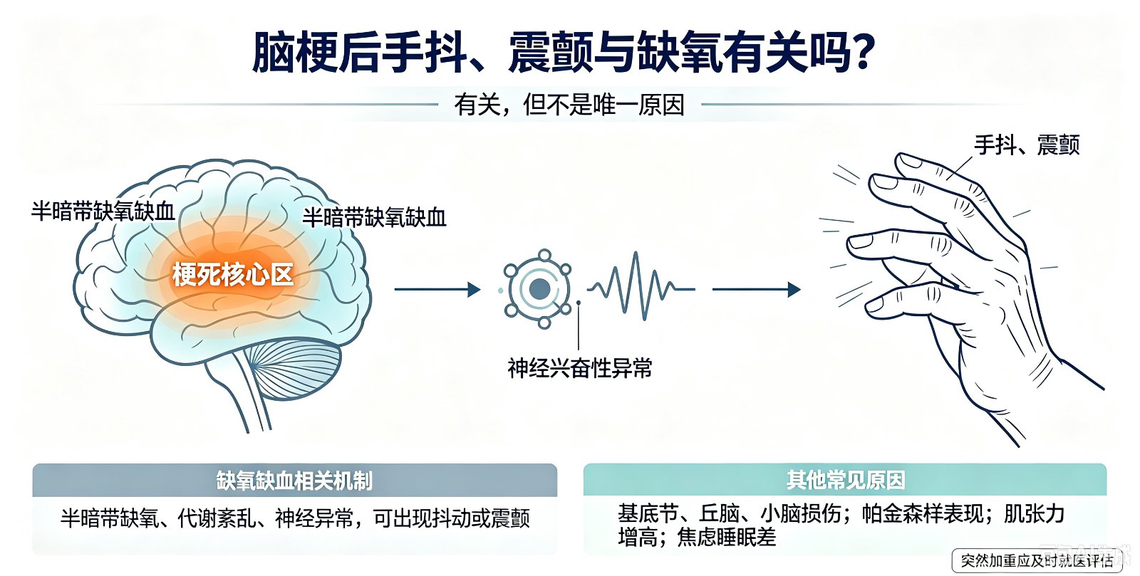 脑梗后手抖、震颤和缺氧有关吗?