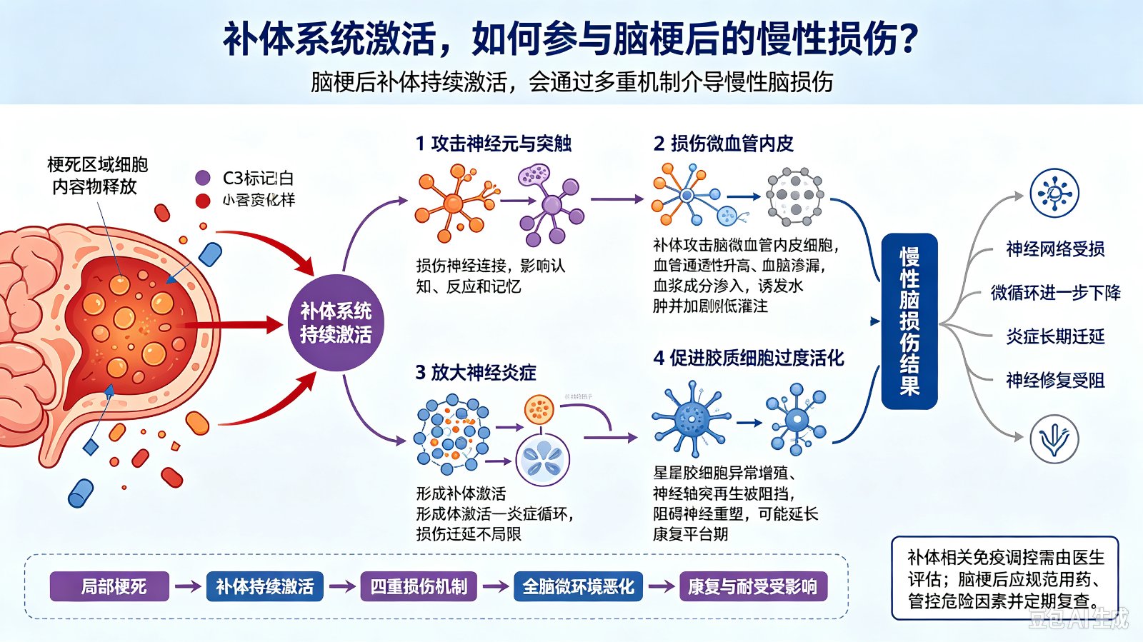 补体系统激活,如何参与脑梗后的慢性损伤?